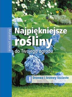 Najpiękniejsze drzewa i krzewy liściaste