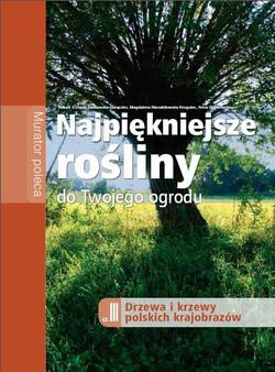 Najpiękniejsze polskie drzewa i krzewy
