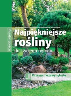Najpiękniejsze drzewa i krzewy iglaste
