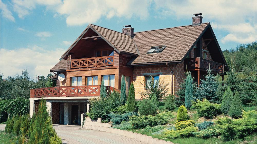 Zielono zimą