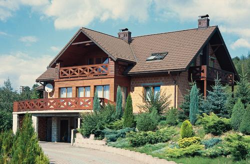 Zielono zimą